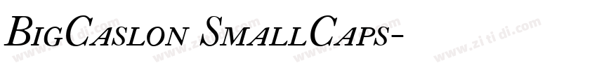 BigCaslon SmallCaps字体转换
